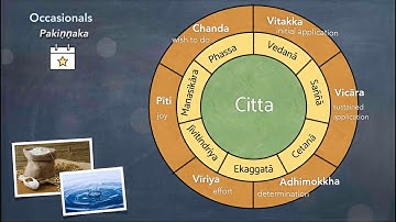 11. Ethically variable ocassionals & akusala cetasikas part 1