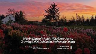 Ep. 97 Erin Clark of Muddy Hill Flower Farm: Growing 5,000 Dahlias in Snohomish County