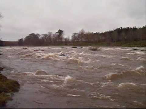 Canoeing on River Tweed at Lower Makerstoun 5th Ap...