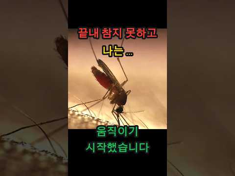 끝내 참지 못하고, 나는 움직이기 시작했습니다