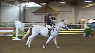CAROLYN LAVIN & CHARLESTON Z - Test, MHC 18-30 Adult Medal Finals.