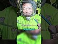 The Underground Hornet Nest