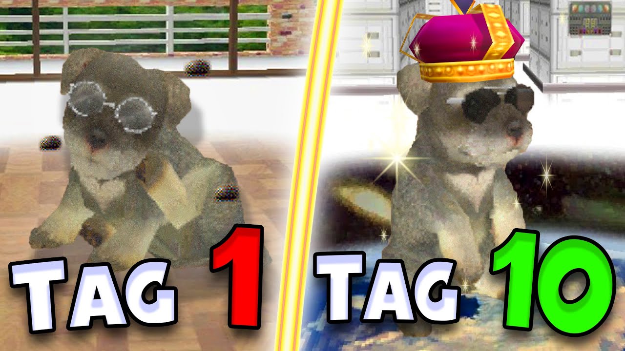 Ich habe 10 TAGE in NINTENDOGS gelebt!