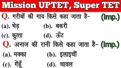 UPTET 2021 || Junior Super TET EVS Most Important Questions || Super TET