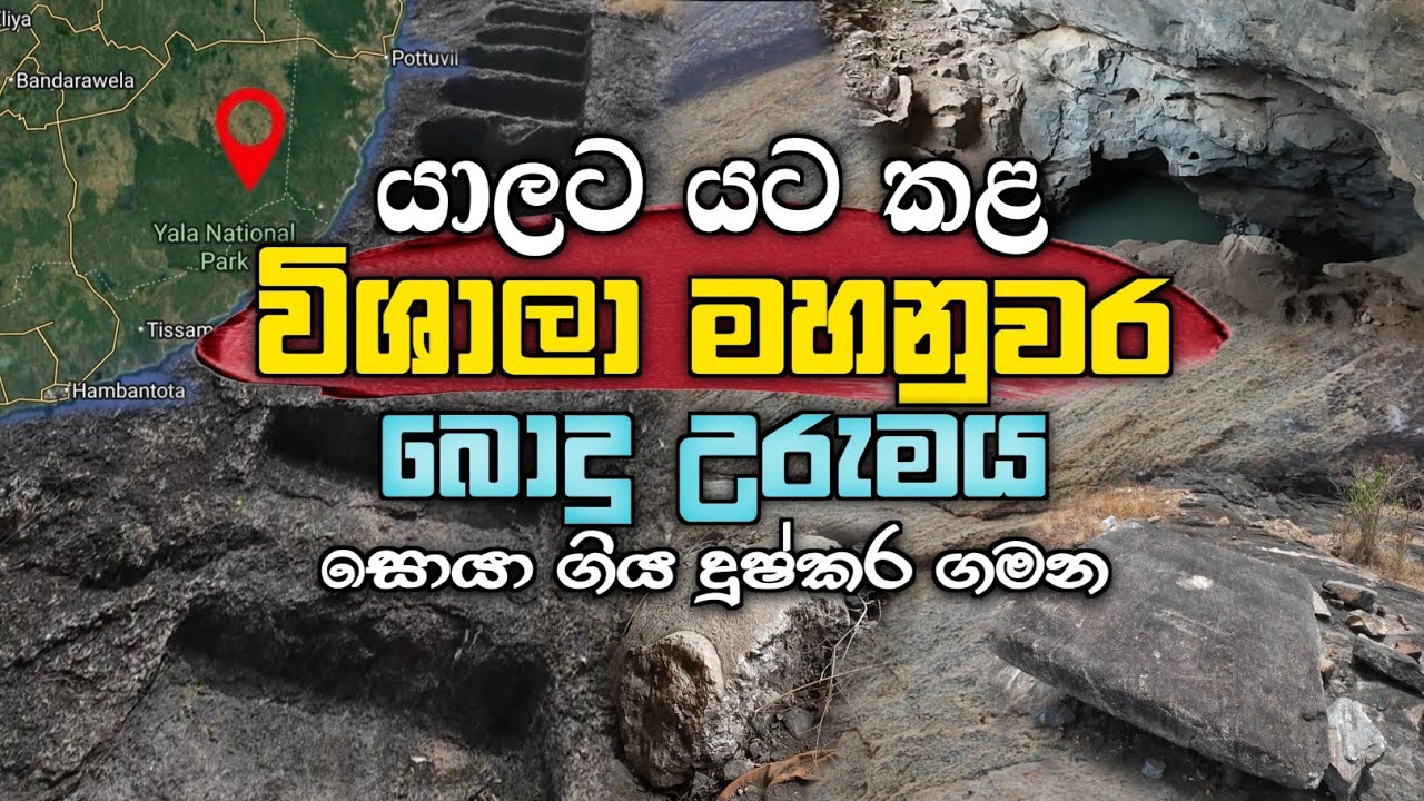 ලිච්ඡවී සහ වජ්ජි ජනපදයන්ට මැදි වුන යාල. 
