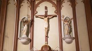 3/29/2026 Holy Mass - Palm Sunday of the Lord's Passion