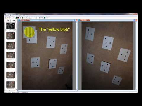 iWitness Camera Calibration - User Assisted Method