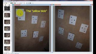 iWitness Camera Calibration - User Assisted Method