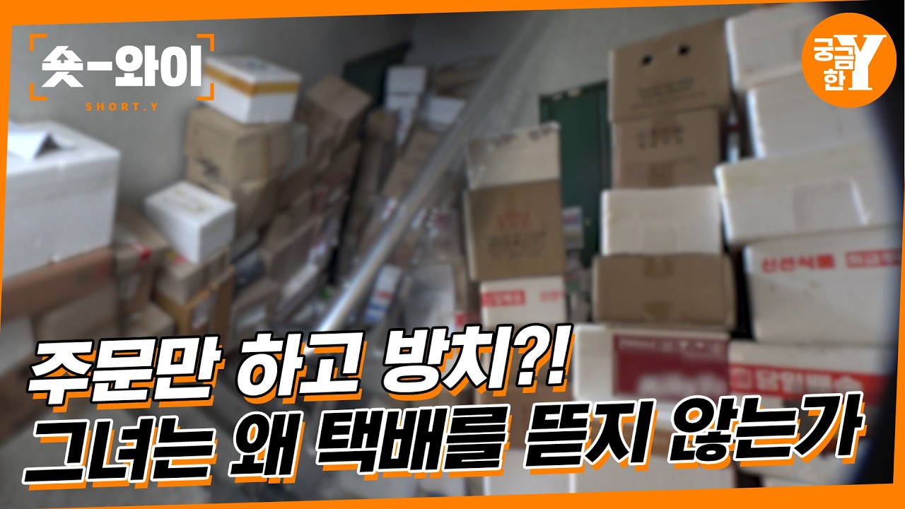 [Y 790회 요약] 썩은 택배 무덤 미스터리 | 숏와이