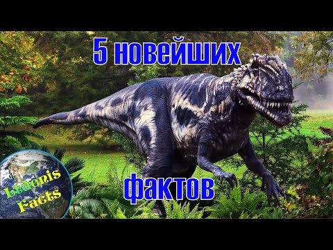 Ausgabe 36-5 neue Tatsachen über Dinosaurier
