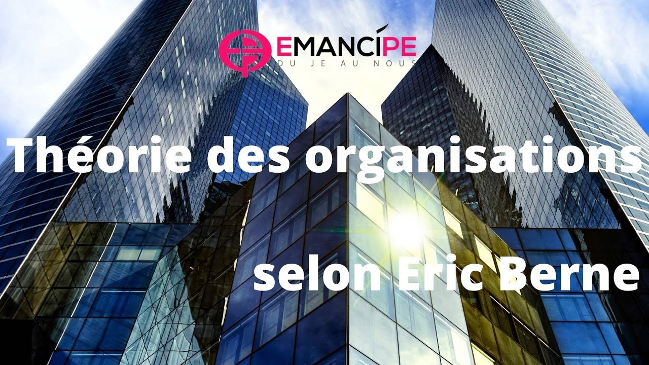 Théorie des organisations selon Eric Berne (TOB) - YouTube