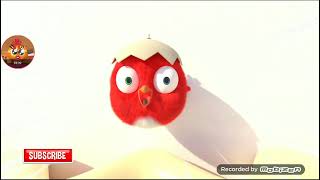 Crazy Cuckoo Episode 11 Season 9 The Lasagna