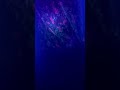 Labrador Sapphires Under UV Light