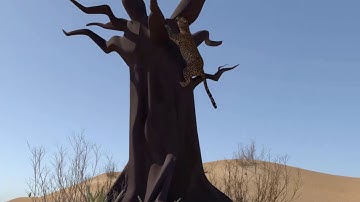 Leopard Animation Project