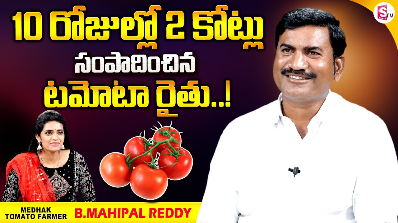 Tomato Farmer Mahipal Reddy Earned 1Crore Rupees On Tomato Crop | Today Tomato Cost | Medak Farmer
