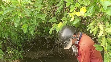 thăm 12 Cửa ngục chạy ếch lương quá nhiều