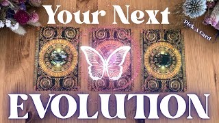 How YOU Are EVOLVING Next! *Powerful* + Unboxing donated decks! Pick A Card Reading