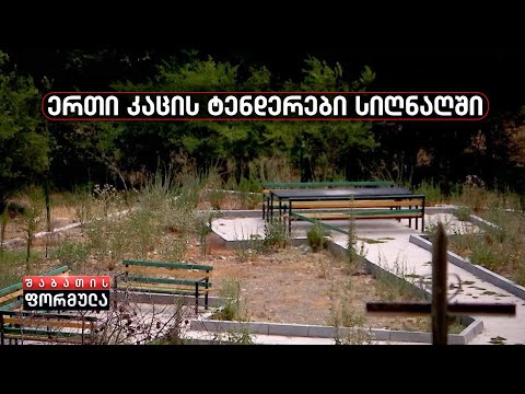 ერთი კაცის ტენდერები სიღნაღში - კორუფცია „კახურ ჯიგრულ პონტში“