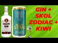 Como fazer Drink Skol Zodiac verde com Gin DRINK COM SKOL BEATS ZODIAC