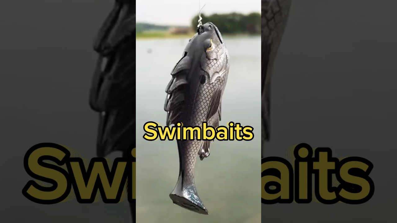 I Went Bass Fishing With SWIMBAITS!