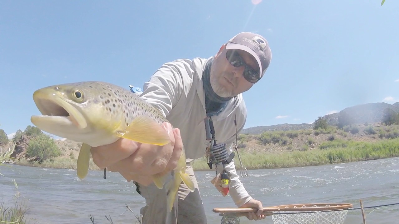 Fly Fishing the lower Arkansas River Summer YouTube