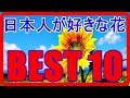 日本人が好きな花 ベスト10
