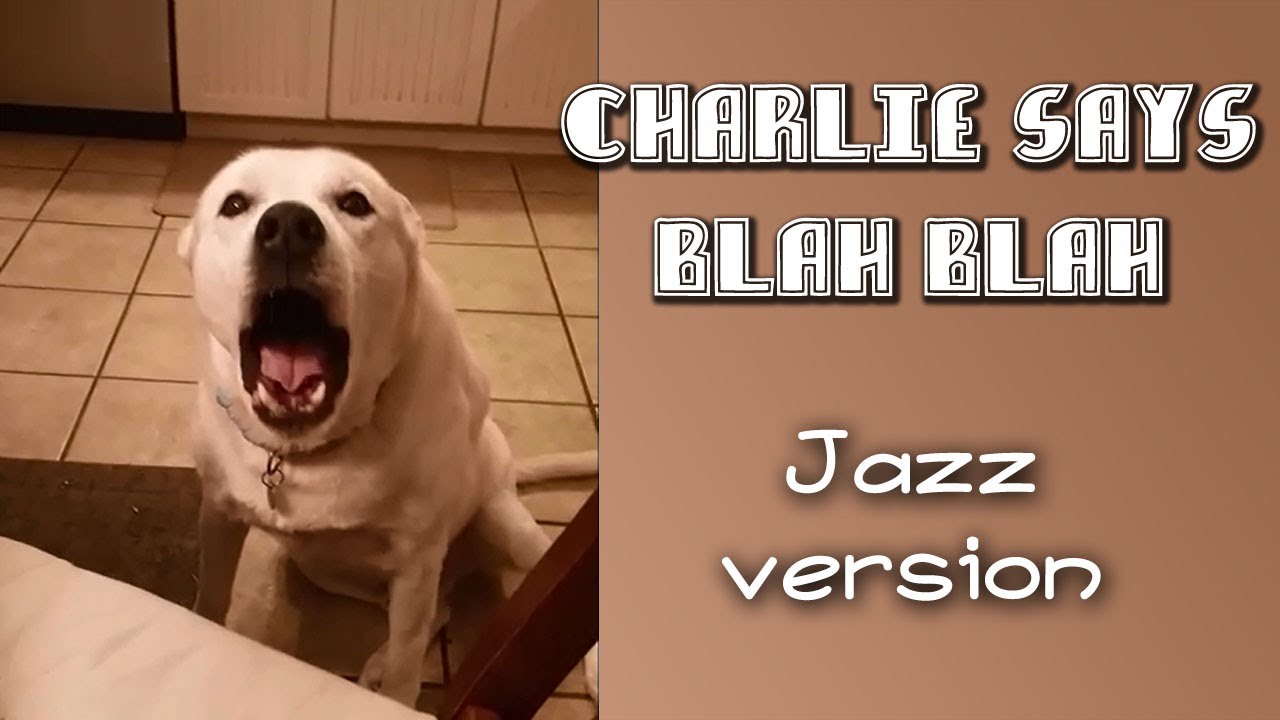 Charlie Says Blah Blah Blah Jazz Version Youtube