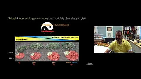 Zachary Lippman Science Talk: Tuning Genes, Genome...