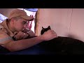 ЧЁРНАЯ КОШКА ПО КЛИЧКЕ &quot;СОБАКА&quot; на корабле ПЕРЕКОП | A BLACK CAT NAMED &quot;DOG&quot; on the warship PEREKOP