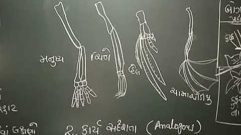 Std 12 biology ch 7 part 2 SHREEMAD DAYANAND KANYA VIDYALAYA