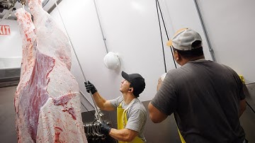 Intro to Modular Meat Processing System | Friesla Harvest Module