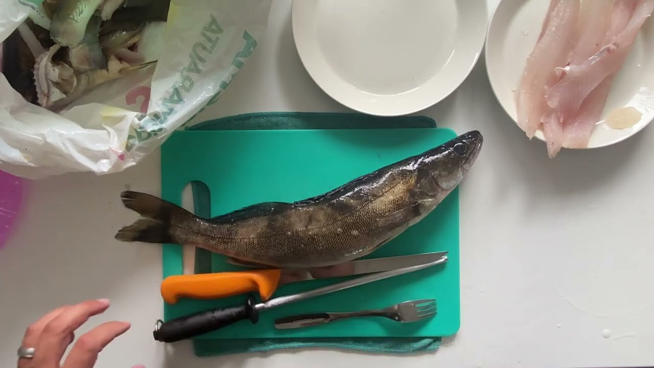 Eumer Fishing - Kuhan fileointi ja kermaisen kuhakastikkeen valmistus - Kalaruoka - Lähiruoka