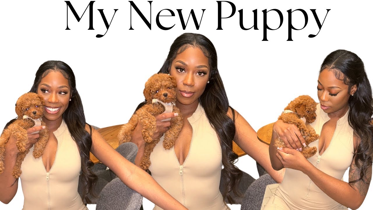 My first 24hrs with my new puppy | Puppy essentials | Everything I bought for my toy poodle