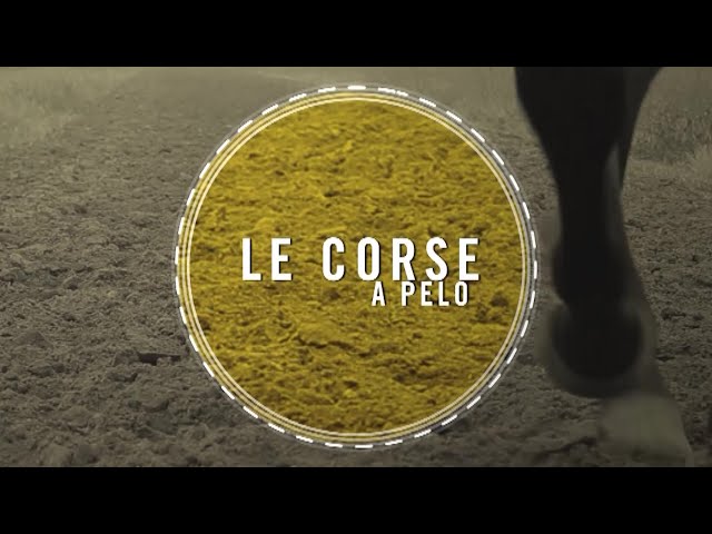 CORSE A PELO, MOCIANO 09-04-2024