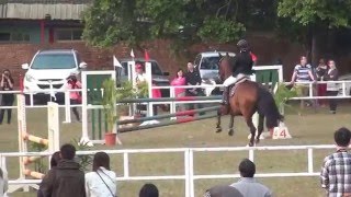 20140301第36屆中正杯馬術障礙團體賽 呂芷均