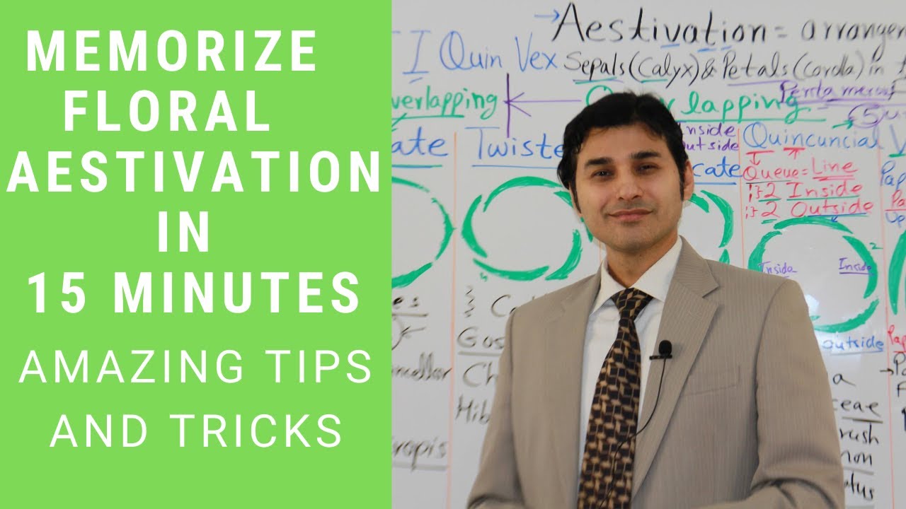 MEMORIZE IN 15 MINUTES- FLORAL AESTIVATION (AMAZING TRICKS)