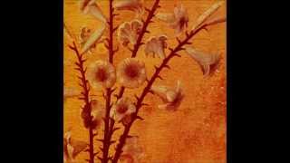 黒夢 (Kuroyume) - Romancia