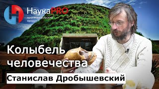 Колыбель человечества | Лекции по антропологии - Станислав Дробышевский | Научпоп | НаукаPRO