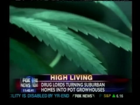 Fox News Gets Reefer Madness Over So-Called Killer Marijuana