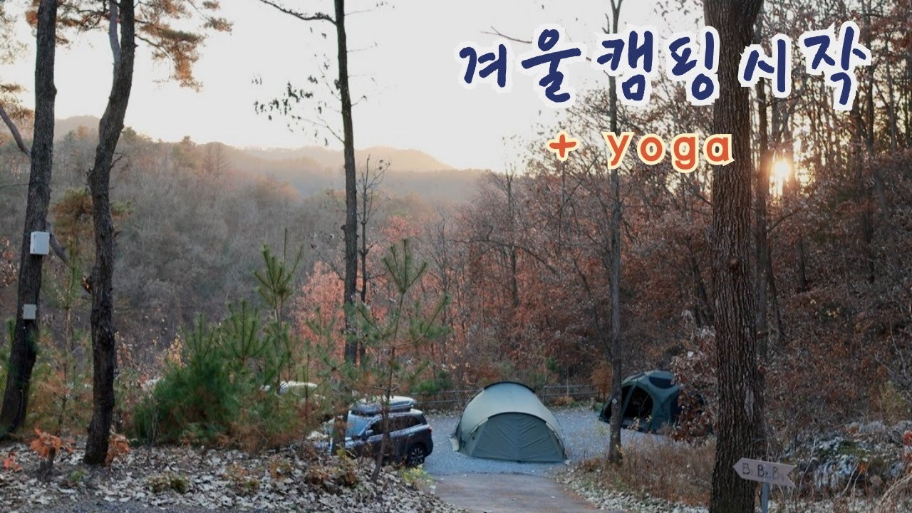 겨울캠핑 시작⛺ 조용한 숲에서 캠핑을 하고 싶다면 여기에요!🐶애견동반캠핑ㅣ춘천더숲