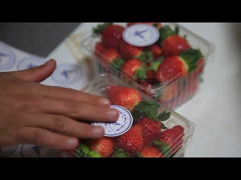 تخصص الهندسة الزراعية في جامعة النجاح الوطنية