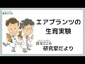 【研究室だより】エアプランツの生育実験！結果は？