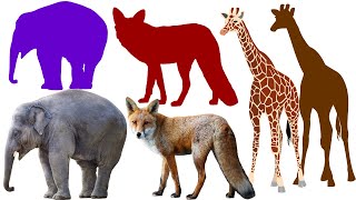 Learn Animal Name Shape and Sound | Animal Shape Guessing Game | 動物形狀名字和聲音 | 猜一猜