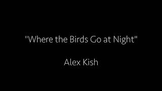 Where The Birds Go At Night- Alex Kish