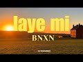 BNXN Fka Buju Laye Mi Lyrics Video mp3
