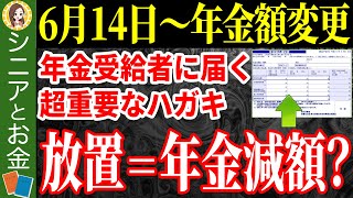 【年金額増加】6月に届く通知書のココだけは絶対にチェックして！確認すべき項目を完全開設！【年金額改定通知書/年金振込通知書】