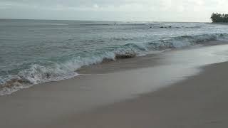 Royalty Free Stock Footage - North Shore of Oahu Hawaii Panoramic of the Beach in the Morning