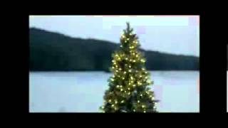 QVC TV Commercial The Lake funny accident