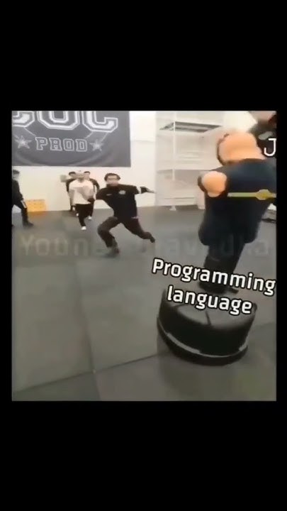 comparison of programming languages. funny.@PewDiePie @tseries @MrBeast ...