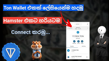 How to create  telegram ton wallet Sinhala | Hamster kombat connect